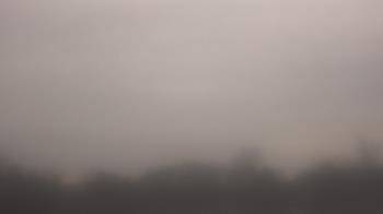 Weather camera view of Winston School.