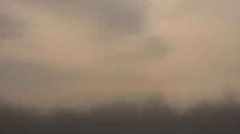 Weather camera view of Winston School.