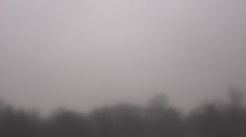 Weather camera view of Winston School.