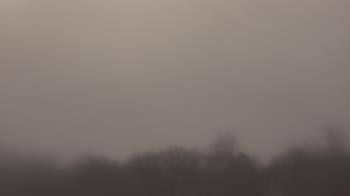 Weather camera view of Winston School.