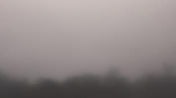 Weather camera view of Winston School.