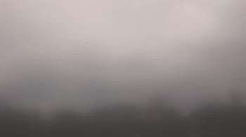 Weather camera view of Winston School.