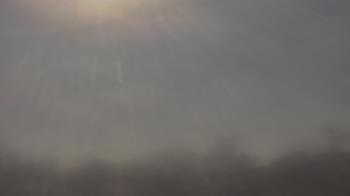 Weather camera view of Winston School.