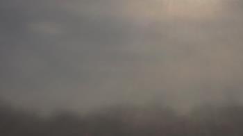 Weather camera view of Winston School.