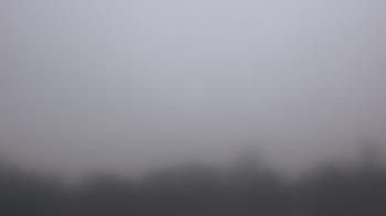 Weather camera view of Winston School.