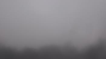 Weather camera view of Winston School.