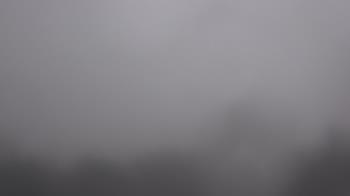 Weather camera view of Winston School.