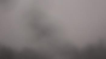 Weather camera view of Winston School.