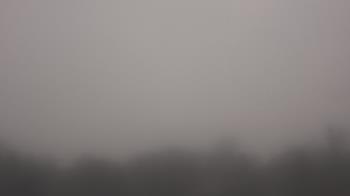 Weather camera view of Winston School.