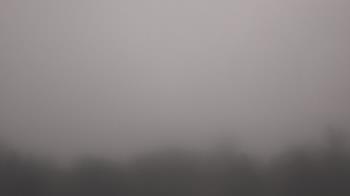 Weather camera view of Winston School.