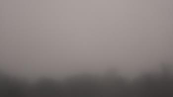 Weather camera view of Winston School.