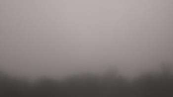 Weather camera view of Winston School.