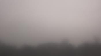 Weather camera view of Winston School.