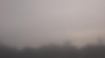 Weather camera view of Winston School.