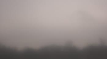 Weather camera view of Winston School.