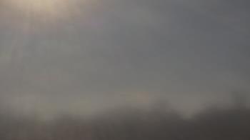 Weather camera view of Winston School.