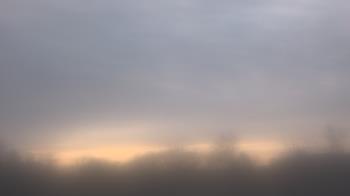 Weather camera view of Winston School.