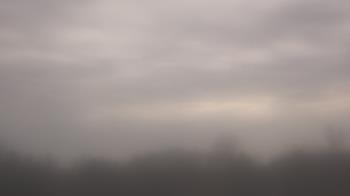 Weather camera view of Winston School.