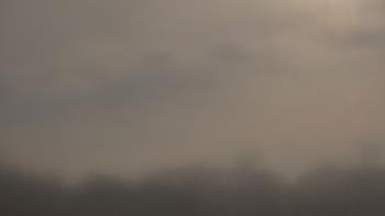 Weather camera view of Winston School.