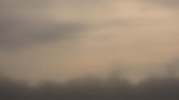 Weather camera view of Winston School.