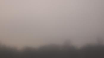 Weather camera view of Winston School.