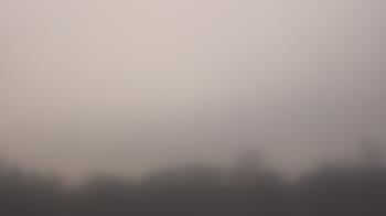 Weather camera view of Winston School.