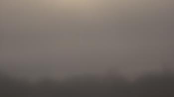 Weather camera view of Winston School.