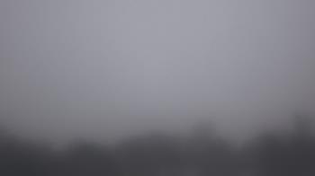 Weather camera view of Winston School.