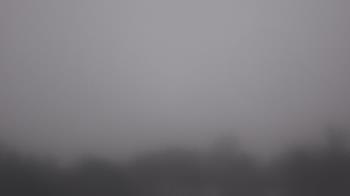 Weather camera view of Winston School.