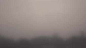 Weather camera view of Winston School.