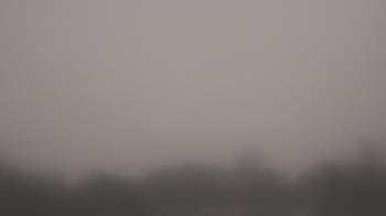 Weather camera view of Winston School.