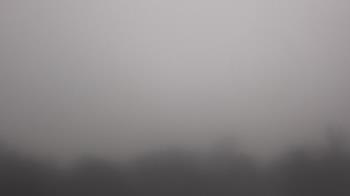 Weather camera view of Winston School.