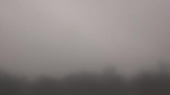 Weather camera view of Winston School.