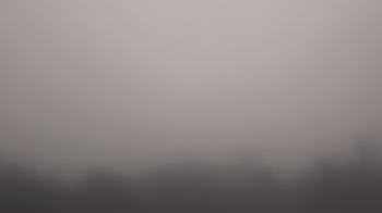 Weather camera view of Winston School.