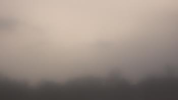 Weather camera view of Winston School.