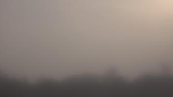 Weather camera view of Winston School.