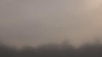 Weather camera view of Winston School.