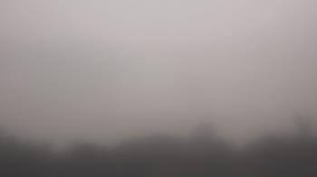 Weather camera view of Winston School.