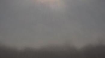 Weather camera view of Winston School.