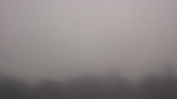 Weather camera view of Winston School.