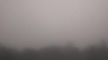 Weather camera view of Winston School.