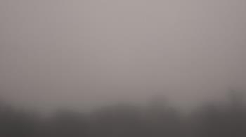 Weather camera view of Winston School.