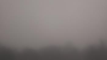 Weather camera view of Winston School.