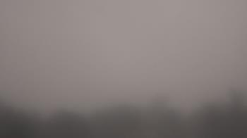 Weather camera view of Winston School.