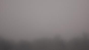 Weather camera view of Winston School.