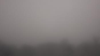 Weather camera view of Winston School.