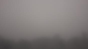 Weather camera view of Winston School.