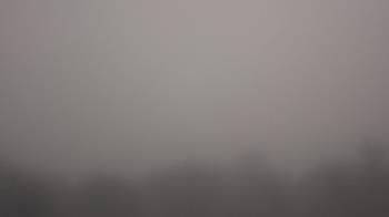 Weather camera view of Winston School.