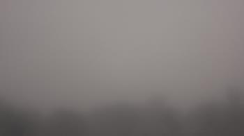 Weather camera view of Winston School.