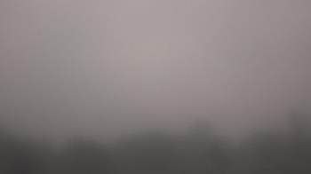 Weather camera view of Winston School.